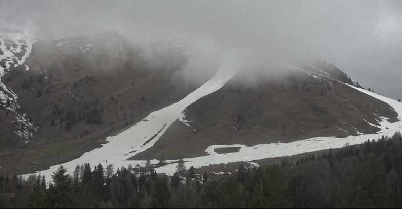 Webcam Bellamonte-Alpe Lusia  - Pista direttissima Le Cune