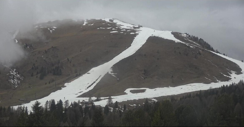 Webcam Bellamonte-Alpe Lusia  - Pista direttissima Le Cune