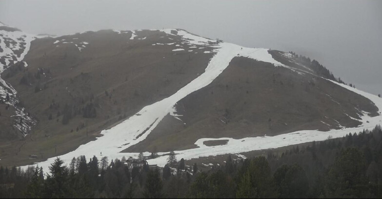 Webcam Bellamonte-Alpe Lusia  - Pista direttissima Le Cune