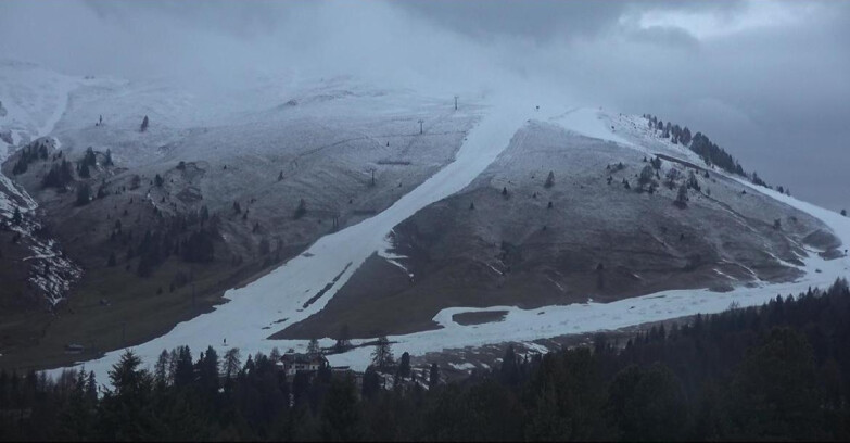 Webcam Bellamonte-Alpe Lusia  - Pista direttissima Le Cune