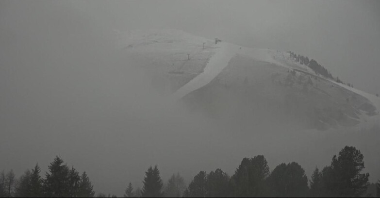 Webcam Bellamonte-Alpe Lusia  - Pista direttissima Le Cune