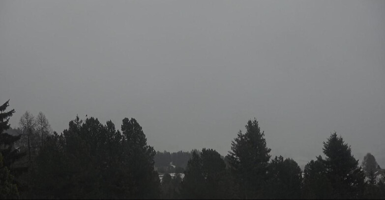 Webcam Bellamonte-Alpe Lusia  - Palagruppe