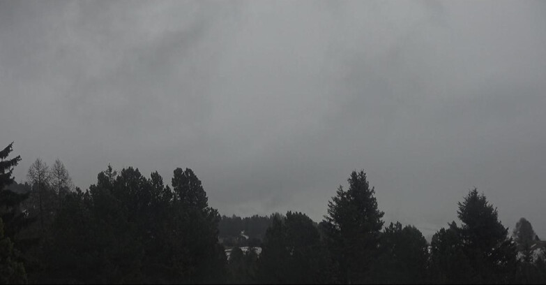 Webcam Bellamonte-Alpe Lusia  - Palagruppe