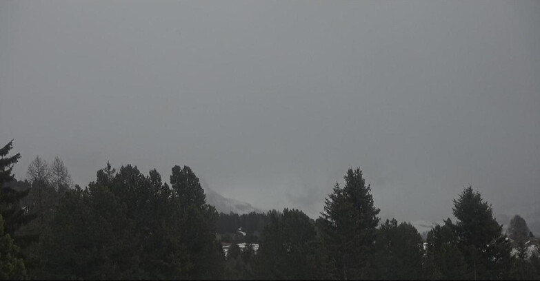 Webcam Bellamonte-Alpe Lusia  - Palagruppe