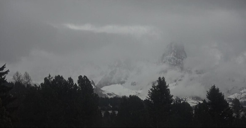 Webcam Bellamonte-Alpe Lusia  - Palagruppe