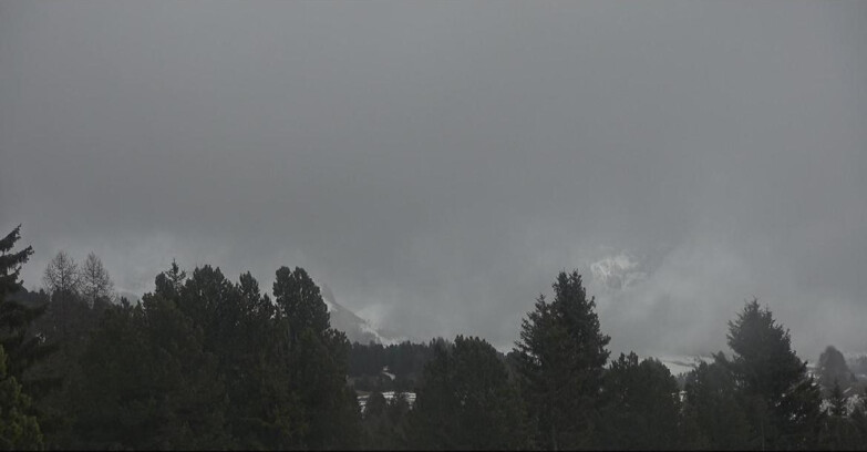 Webcam Bellamonte-Alpe Lusia  - Palagruppe