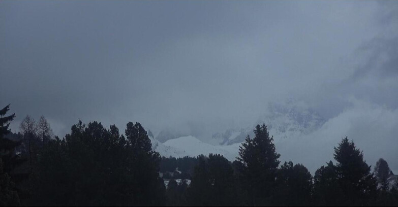 Webcam Bellamonte-Alpe Lusia  - Palagruppe