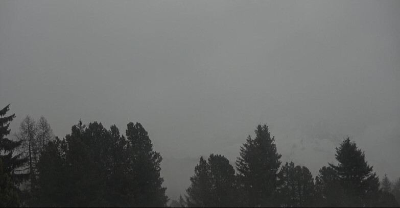 Webcam Bellamonte-Alpe Lusia  - Palagruppe