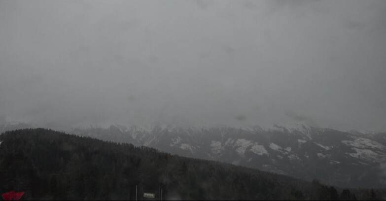 Webcam Bellamonte-Alpe Lusia  - Lagorai