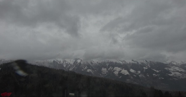 Webcam Bellamonte-Alpe Lusia  - Lagorai