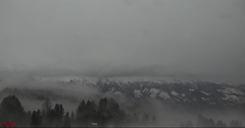 Webcam Bellamonte-Alpe Lusia  - Lagorai