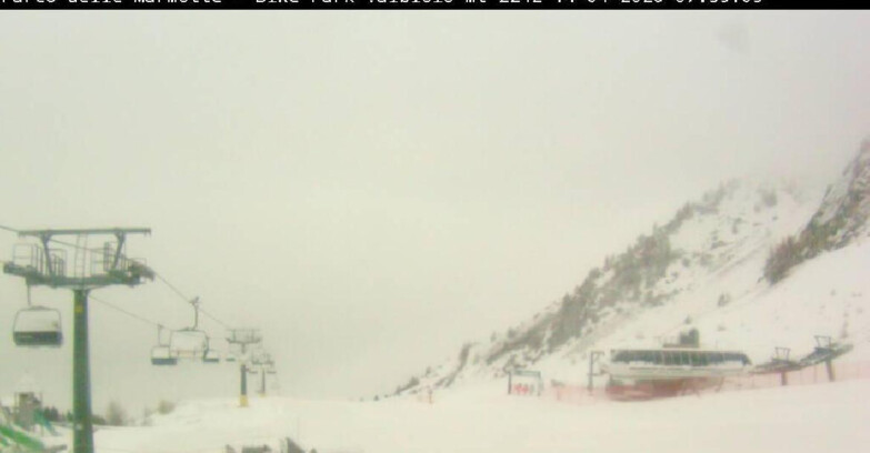 Webcam Ponte di legno-Tonale - Valbiolo