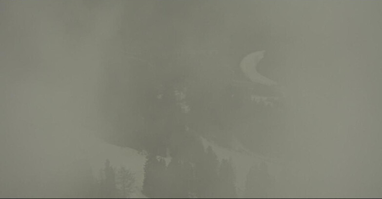 Webcam Pampeago  - Predazzo -  Obereggen - Pampeago Piste