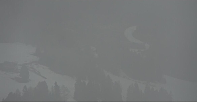 Webcam Pampeago  - Predazzo -  Obereggen - Pampeago Piste