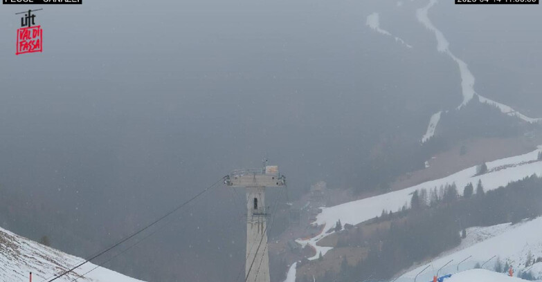 Webcam Canazei Belvedere - Canazei - Località Pecol