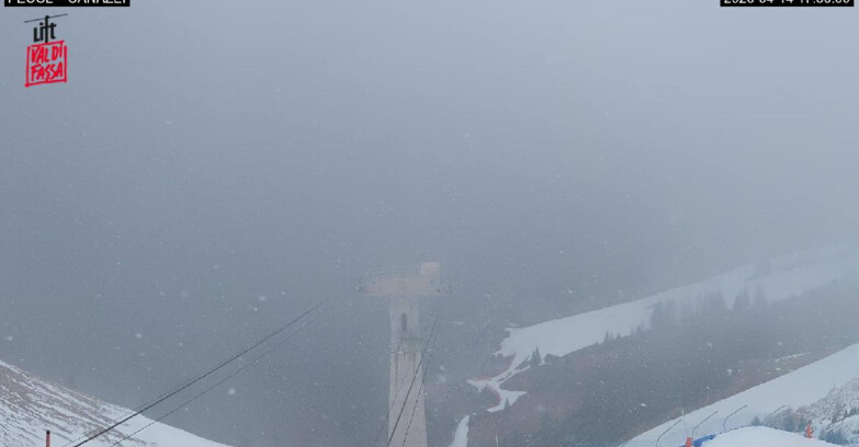 Webcam Canazei Belvedere - Canazei - Località Pecol