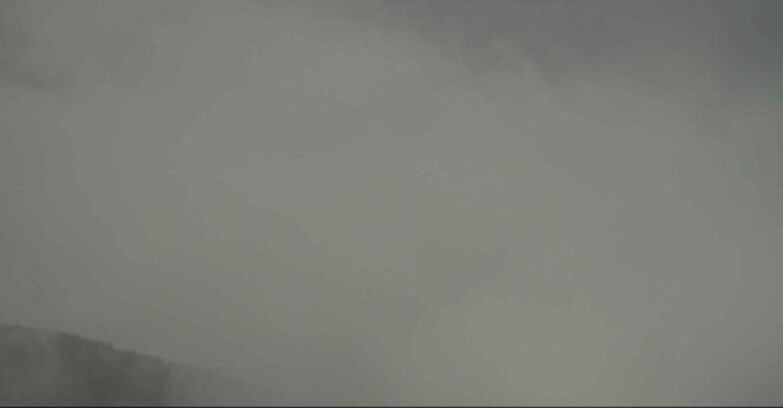 Webcam Alpe Cermis  - Cavalese