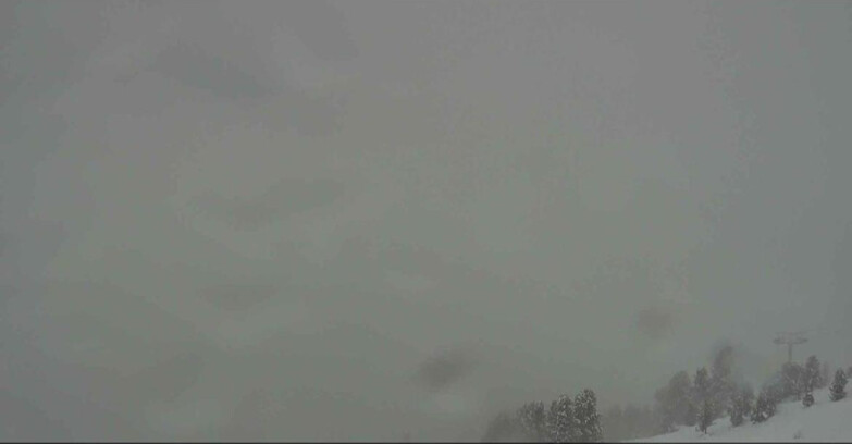 Webcam Alpe Cermis  - Val di Fiemme