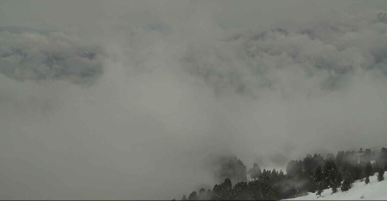 Webcam Alpe Cermis  - Val di Fiemme