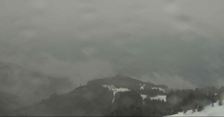 Webcam Alpe Cermis  - Val di Fiemme