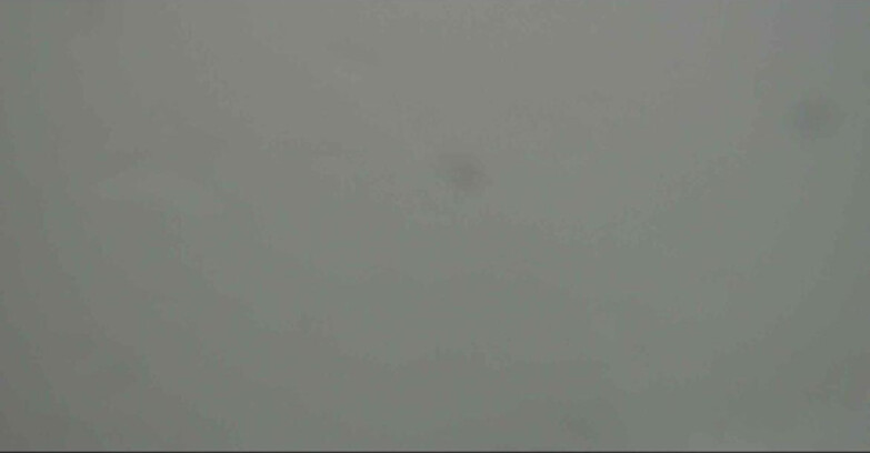 Webcam Alpe Cermis  - Val di Fiemme