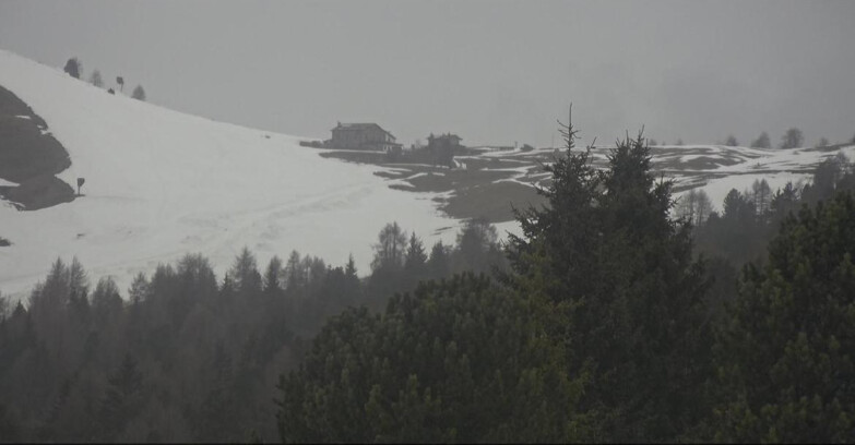 Webcam Bellamonte-Alpe Lusia  - Pista Dolomitica