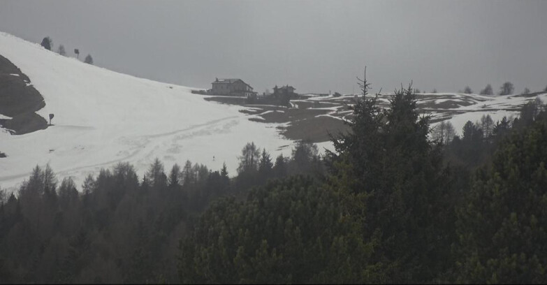 Webcam Bellamonte-Alpe Lusia  - Pista Dolomitica