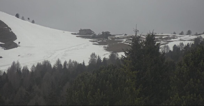 Webcam Bellamonte-Alpe Lusia  - Pista Dolomitica