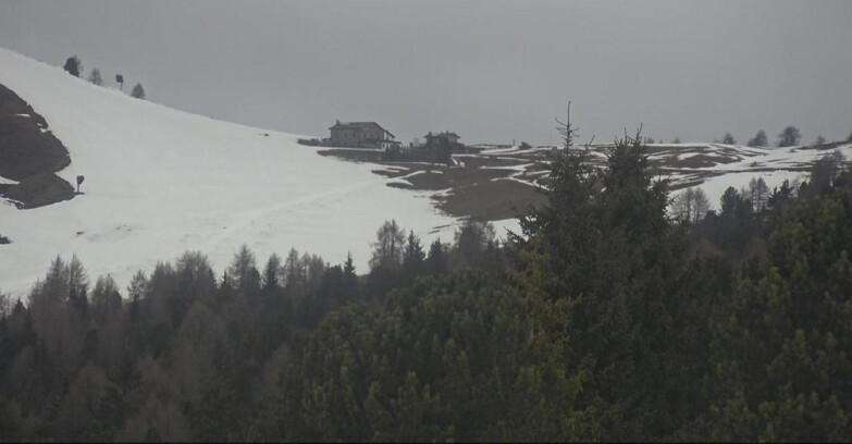 Webcam Bellamonte-Alpe Lusia  - Pista Dolomitica
