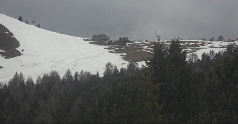 Webcam Bellamonte-Alpe Lusia  - Pista Dolomitica