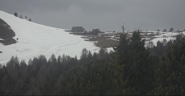 Webcam Bellamonte-Alpe Lusia  - Pista Dolomitica