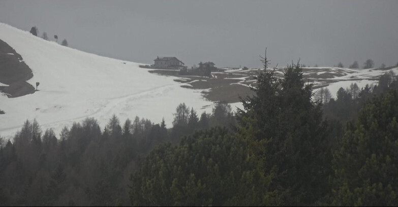Webcam Bellamonte-Alpe Lusia  - Pista Dolomitica