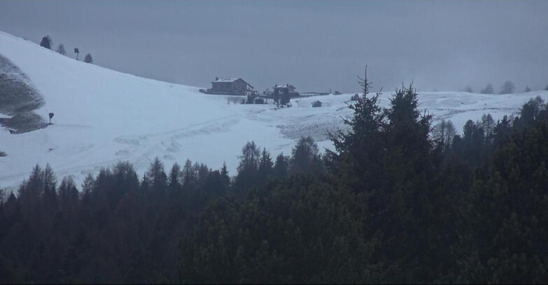 Webcam Bellamonte-Alpe Lusia  - Pista Dolomitica