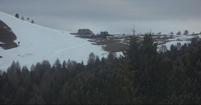 Webcam Bellamonte-Alpe Lusia - Dolomiti slope