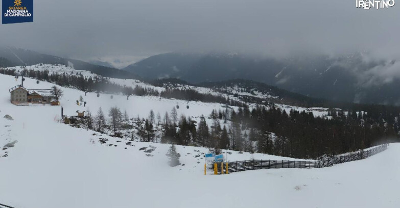 Webcam Мадонна-ди-Кампильо  - Rifugio Viviani