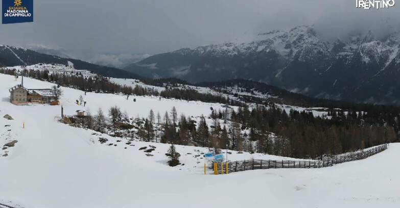 Webcam Madonna di Campiglio - Rifugio Viviani