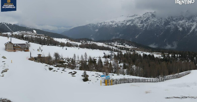 Webcam Мадонна-ди-Кампильо  - Rifugio Viviani