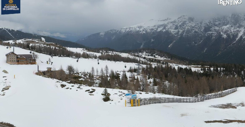 Webcam Madonna di Campiglio - Rifugio Viviani