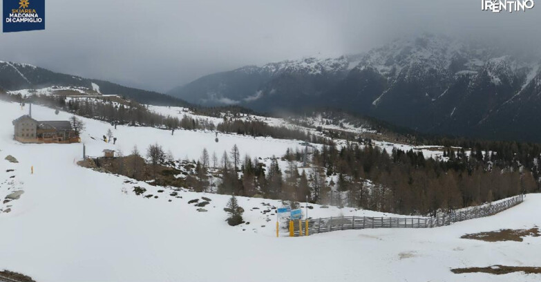 Webcam Мадонна-ди-Кампильо  - Rifugio Viviani