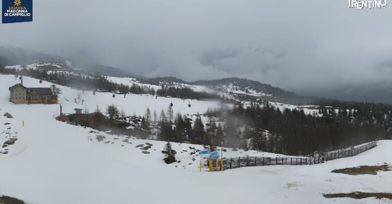 Webcam Madonna di Campiglio - Rifugio Viviani