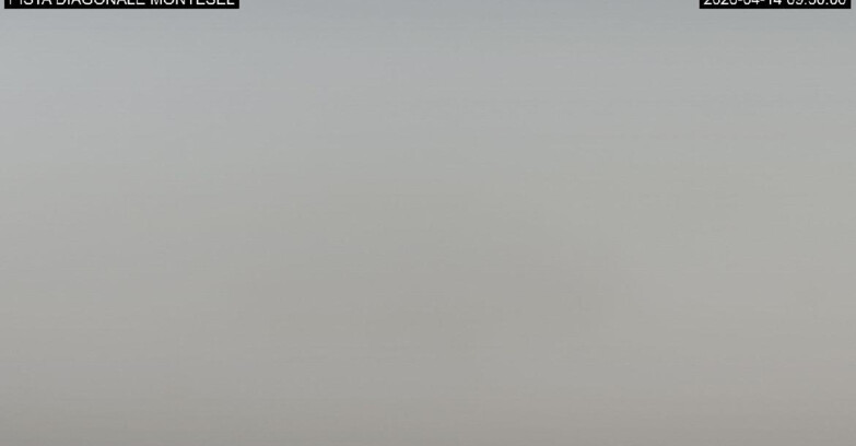 Webcam Monte Bondone - Bondone Diagonale Montesel
