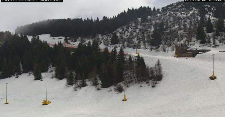 Webcam Monte Bondone - Bondone Diagonale Montesel