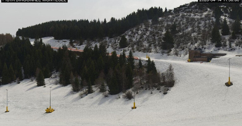 Webcam Monte Bondone - Bondone Diagonale Montesel