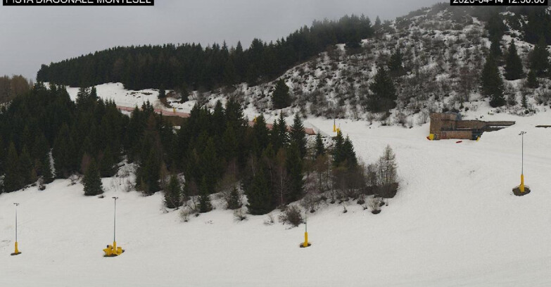 Webcam Monte Bondone - Bondone Diagonale Montesel