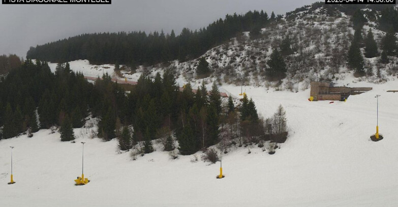 Webcam Monte Bondone - Bondone Diagonale Montesel