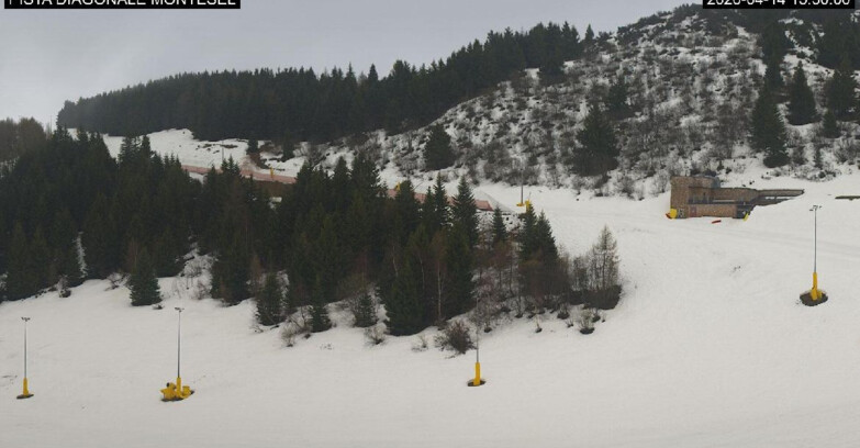 Webcam Monte Bondone - Bondone Diagonale Montesel