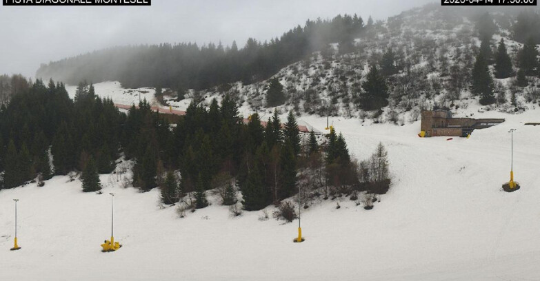 Webcam Monte Bondone - Bondone Diagonale Montesel