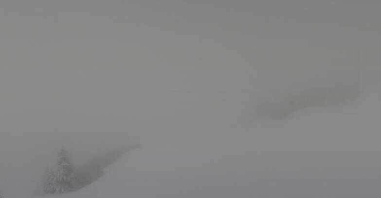 Webcam Skiarea Campiglio Dolomiti di Brenta Val di Sole Val Rendena - Seggiovia Malghette 