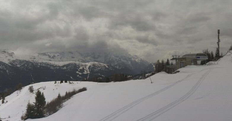Webcam Skiarea Campiglio Dolomiti di Brenta Val di Sole Val Rendena - Seggiovia Malghette 