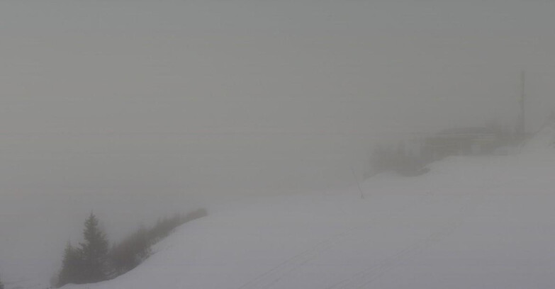Webcam Skiarea Campiglio Dolomiti di Brenta Val di Sole Val Rendena - Seggiovia Malghette 